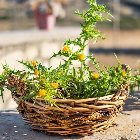 Ilias Semesterbostad *