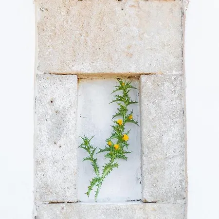 Dom wakacyjny Ilias *