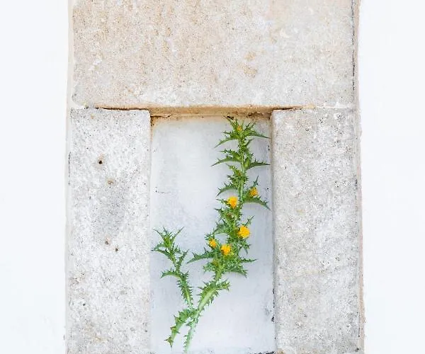 بيت للعطل Ilias *